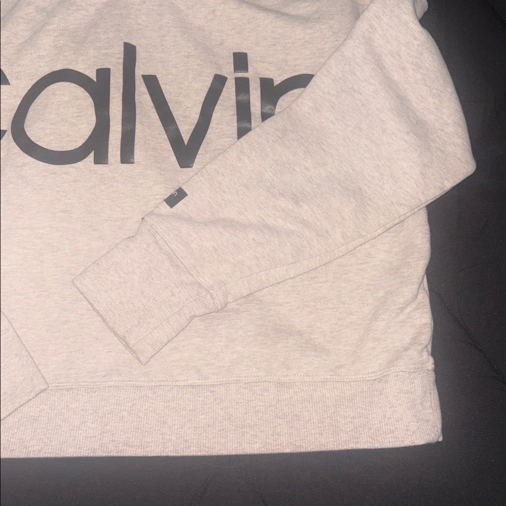 ✨HP✨Calvin Klein Cropped Hoodie - Picture 3 of 4
